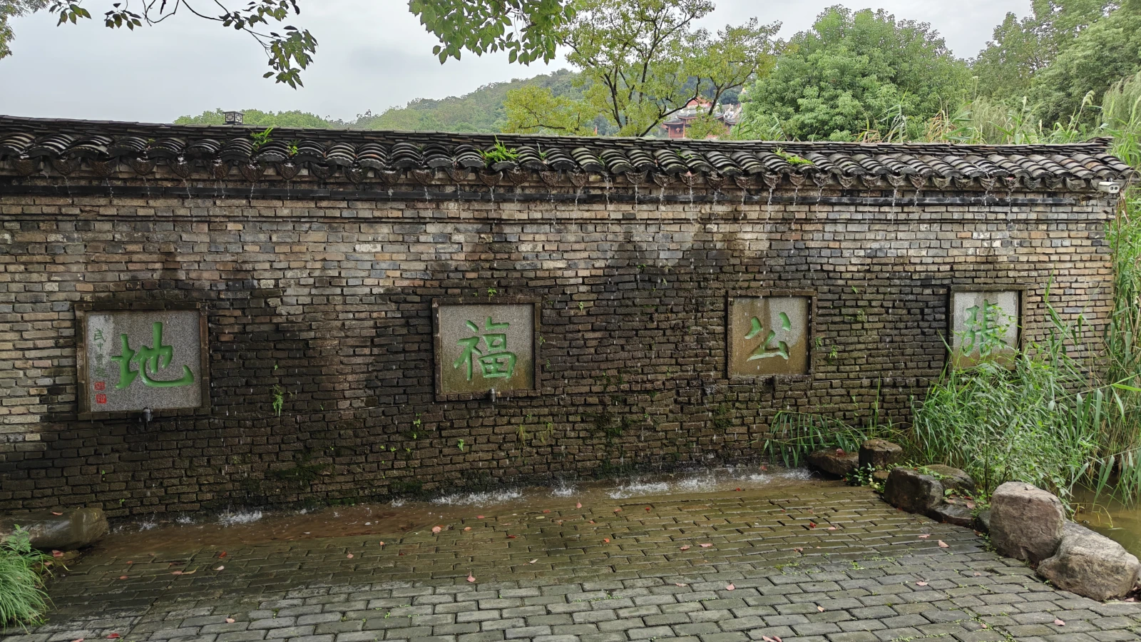 请输入图片描述